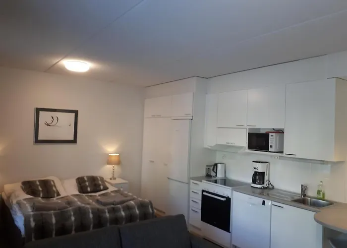 Siljo شقة روفانييمي